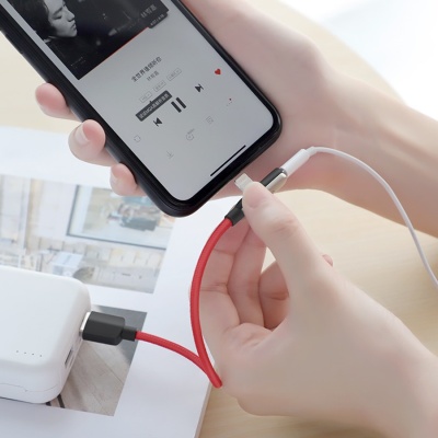 Переходник/Адаптер HOCO LS28 2 в 1 USB (m) - Lightning (m) / Lightning (f), серебристый