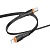 Кабель USB-C BOROFONE BX118 Esplendido Type-C - Lightning, 27W, 1 м, черный